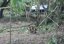 Intento de invasión fue evitado por el Ejército y la Alcaldía de Pereira Invasión