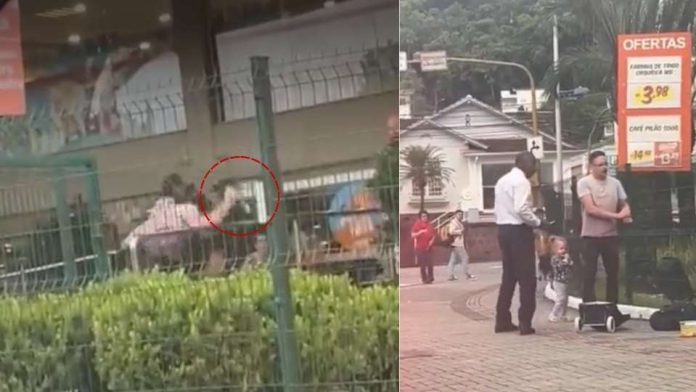 En video | Padre defiende a su hija y apuñala a presunto delincuente en Brasil