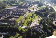 ILC: Reconocimientos y logros en el 2025