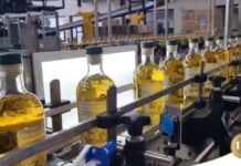 Apertura de fronteras: Una oportunidad para crecer la economía