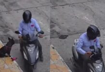 Ni los perros se salvan de la delincuencia: motociclista roba el juguete de un perrito en Villavicencio