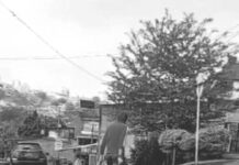 EN VIDEO: Hombre mata a su perro y lo arrastra por la vía pública; su padre muere de un infarto al enterarse