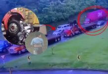 En video | Tractomula embiste carro familiar y causa la muerte de dos personas.