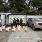 Incautan 250 kilos de explosivos ocultos en una camioneta