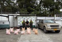 Incautan 250 kilos de explosivos ocultos en una camioneta