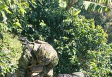 Incautan armamento del Clan del Golfo en zona rural de Risaralda