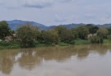 Alerta naranja: el río Cauca supera los 4 metros