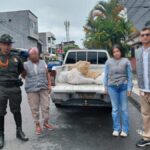 Incautan más de 170 kilos de carne en mal estado