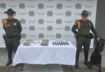 Olfato clave: perros detectan drogas por $18 millones ocultas en paquetes