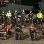 Golpe al narcotráfico: incautan media tonelada de marihuana