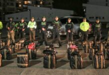 Golpe al narcotráfico: incautan media tonelada de marihuana