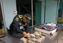 ¡Increíble! Hombre escondía marihuana en chorizos y fue sorprendido en el aeropuerto cuando pretendía salir del país