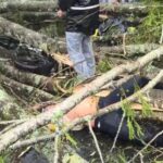 #Atención Motociclista fallece tras caída de árbol