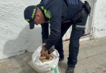 Escopeta oculta entre café: capturan a hombre con arma escondida en un bulto