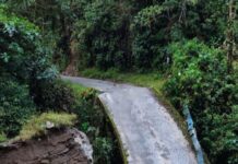 Emergencia vial: cierre total por caída del puente Cañada Honda