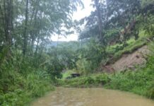 Derrumbe genera aislamiento parcial de una vereda en Caldas