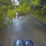 EN VIDEO: ¡OTRA VEZ! Motociclista grabó el momento en que una rama le cayó encima en Pereira: van dos casos en menos de 24 horas