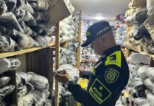 Más de $100 millones en calzado falso: así operaba una fábrica clandestina en el Eje Cafetero