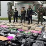 Golpe al narcotráfico: más de 800 kilos de marihuana incautados en zona rural del Eje Cafetero