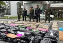 Golpe al narcotráfico: más de 800 kilos de marihuana incautados en zona rural del Eje Cafetero