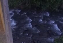 Accidente en la vía Pereira – Armenia