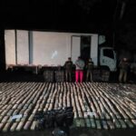EN VIDEO: Ingenio criminal sin límites: incautan más de 700 kilos de marihuana camuflados en carne en descomposición.
