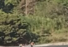 Paseo familiar terminó en tragedia: hombre murió ahogado en un río