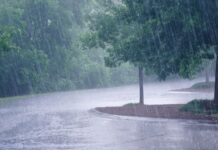 Fuertes lluvias generan inundaciones y mantienen en alerta a habitantes de Gallinazo, en zona rural de Villamaría