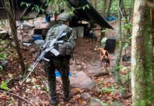 Canina del Ejército sobrevive a ataque con drones y regresa tras siete días desaparecida