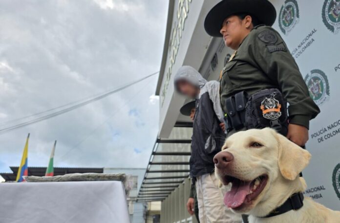 imagen destacada hoy