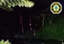 En video| Emergencia por lluvias deja tres personas atrapadas en río