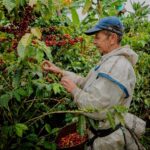Café de Caldas cruza fronteras