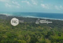 “Arena que Transforma”, la apuesta ambiental de la ILC para convertir vidrio reciclado en proyectos sociales y ecológicos