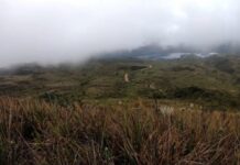 Industria Licorera de Caldas fortalece su compromiso ambiental con reserva natural de más de 286 hectáreas
