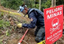 De camino de guerra a territorio de vida: liberan zona con minas antipersona en Risaralda