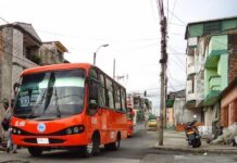 ¡Bus gratis para votar en Pereira y Dosquebradas!