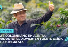 Café colombiano en alerta: productores advierten fuerte caída en sus ingresos