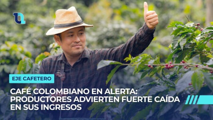 Copia de elecciones 2026 (8)