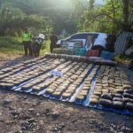 Abandonan camioneta con más de 528 kilos de marihuana en vías del Eje Cafetero.