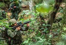 Terror en la frontera entre Caldas y Risaralda: cámaras captan hombres armados y reportan combates con la Fuerza Pública.