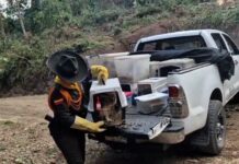 Recuperan cinco animales y liberan 22 especies de fauna silvestre en el Eje cafetero