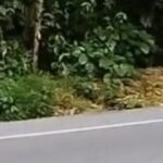 ¡Tensión en Risaralda! refuerzan seguridad tras aparición de propaganda del ELN