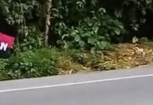 ¡Tensión en Risaralda! refuerzan seguridad tras aparición de propaganda del ELN