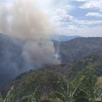 Cortocircuito habría provocado incendio que arrasó con más de 100 hectáreas