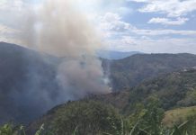 Cortocircuito habría provocado incendio que arrasó con más de 100 hectáreas