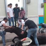 Alcalde de Santuario aclara circunstancias de la muerte de un equino durante cabalgata