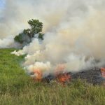 Alarma por incendios forestales: ya son 69 reportes en un mes