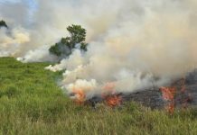 Alarma por incendios forestales: ya son 69 reportes en un mes