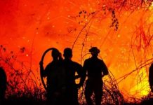 Protesta en medio de emergencia por incendios genera tensión en comunidad del Tolima