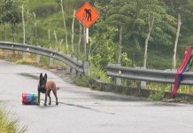 Habilitan la vía Medellín–Ituango tras neutralización de artefacto explosivo